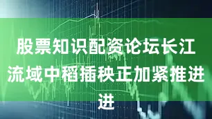 股票知识配资论坛长江流域中稻插秧正加紧推进