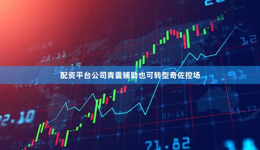 配资平台公司青囊辅助也可转型奇佐控场